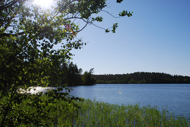 Similar image 21239346