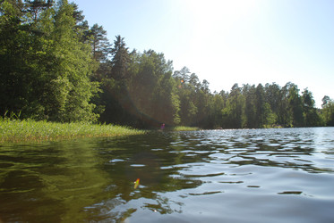 Similar image 21239348