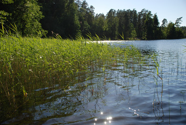 Similar image 21239349