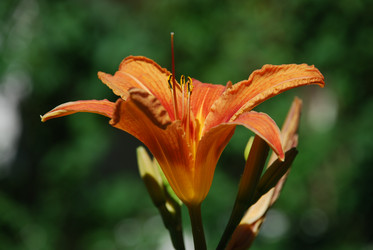 Similar image 21239353