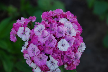 Similar image 21239355