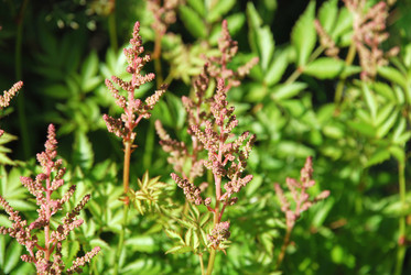 Similar image 21239356