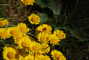 Similar image 21239357