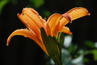 Similar image 21239358