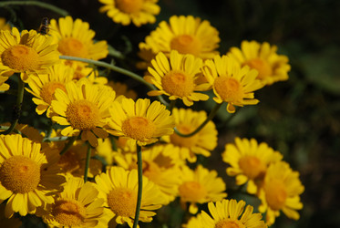 Similar image 21239359