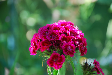 Similar image 21239360