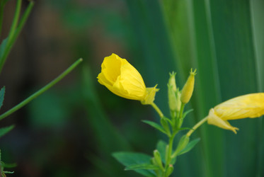 Similar image 21239361