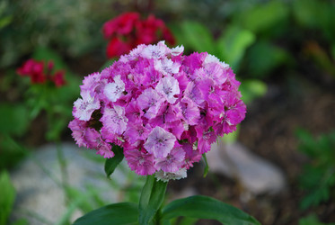 Similar image 21239363