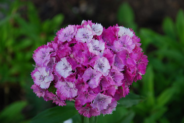 Similar image 21239364