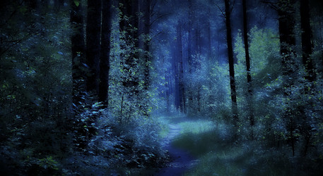 Similar image 21229805