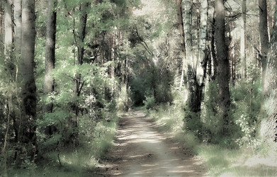 Similar image 21229806