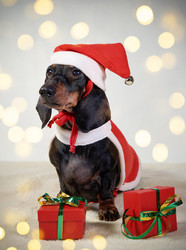 Similar image 21229808