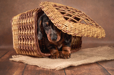 Similar image 21229809