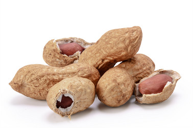 Similar image 21249519