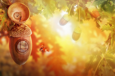 Similar image 21230703