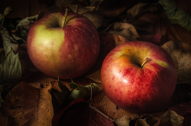 Similar image 21249399