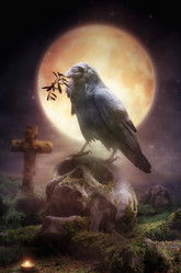 Similar image 21236107