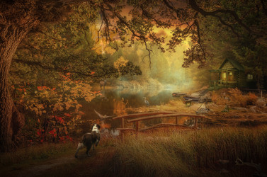 Similar image 21236112