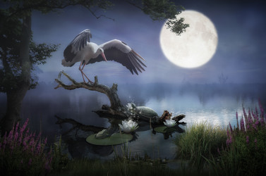 Similar image 21236116