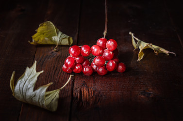 Similar image 21240690