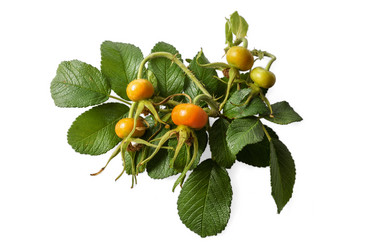 Similar image 21240691