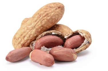 Similar image 21241056