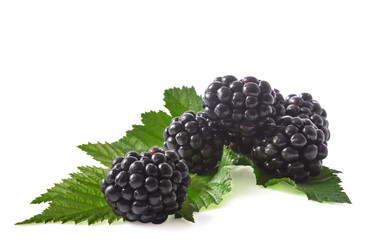 Similar image 21240693