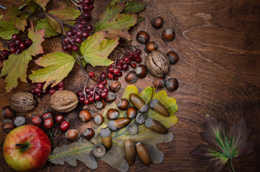 Similar image 21249404