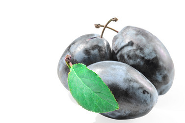 Similar image 21240698