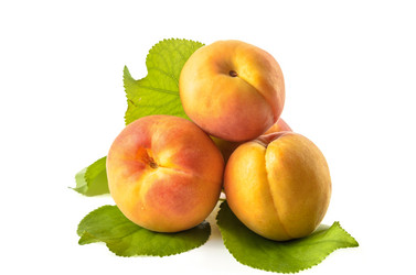 Similar image 21240700