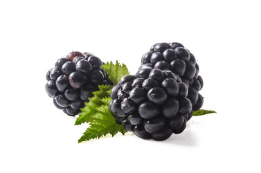 Similar image 21240701