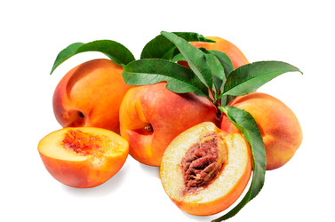 Similar image 21249406