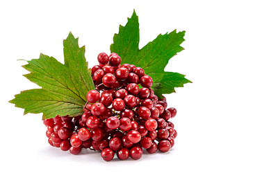 Similar image 21244457