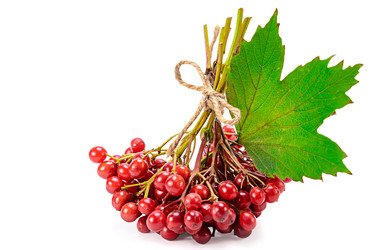 Similar image 21240705