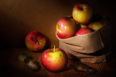 Similar image 21249409