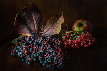 Similar image 21240713