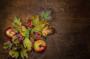 Similar image 21240716