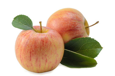 Similar image 21244464