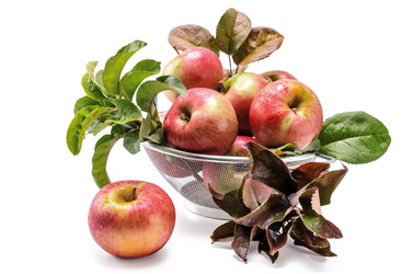 Similar image 21240717