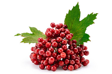 Similar image 21237340