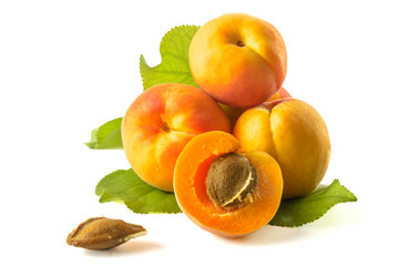 Similar image 21240727