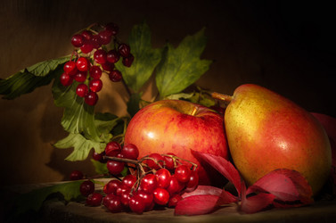 Similar image 21240728