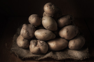 Similar image 21240733