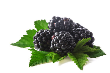 Similar image 21237343