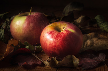 Similar image 21239583