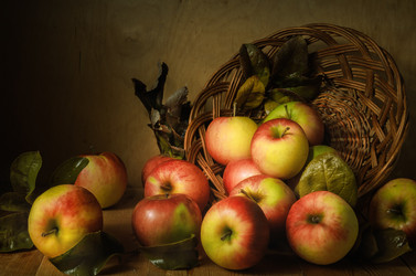 Similar image 21239587