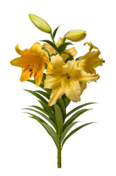 Similar image 21239590