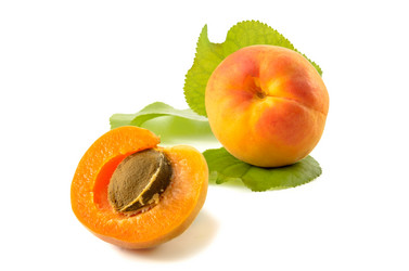 Similar image 21239594