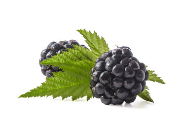 Similar image 21237352