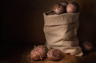 Similar image 21239601